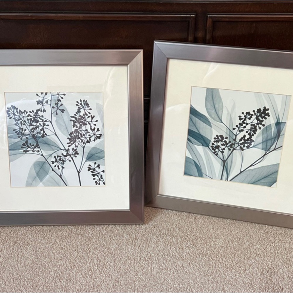 2 Pieces Framed Wall Art (Eucalyptus I and Il) by Steven Meters